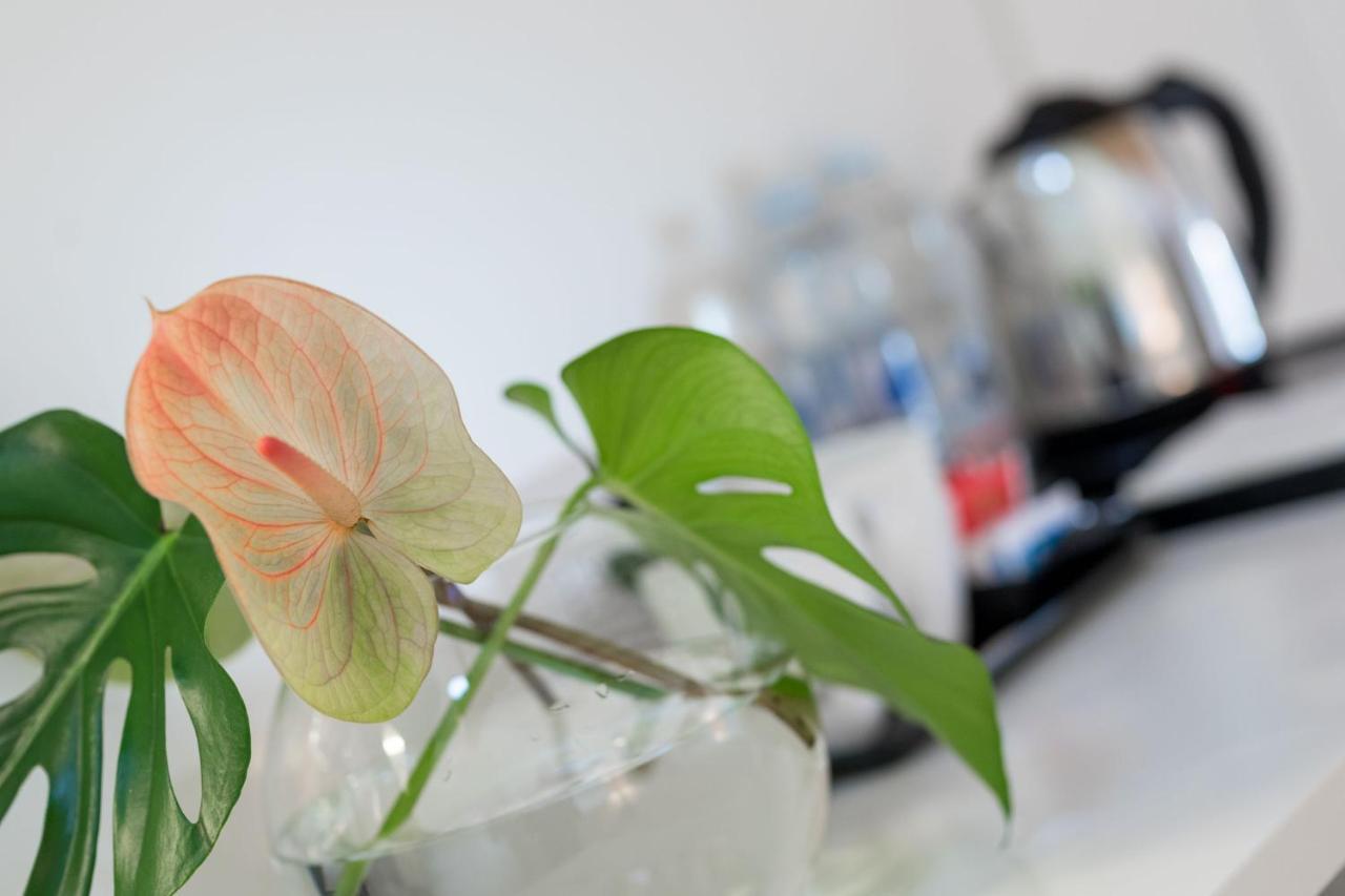 La Ripa Boutique Hotel Albino 외부 사진